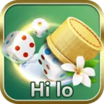 hi-lo-1.webp