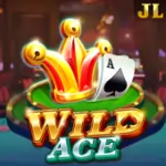 wild-ace-1.webp