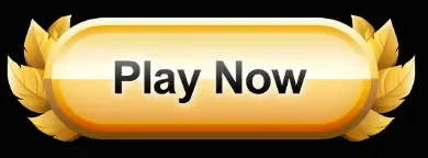 PLAY NOW